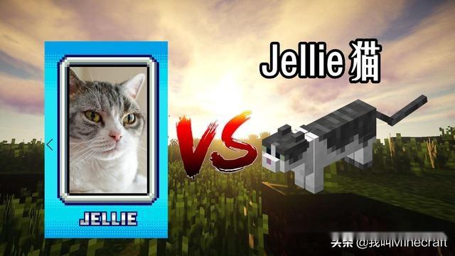 我的世界给猫命名游戏截图
