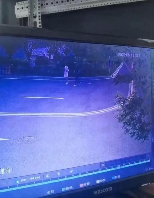 监控录像被覆盖能查吗游戏截图