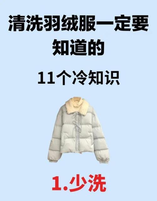 羽绒服建议干洗还是手洗游戏截图