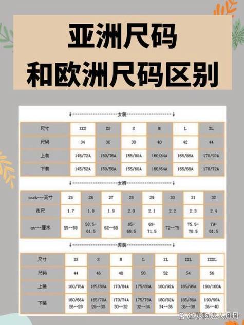 欧洲码与亚洲码的体型差异图标