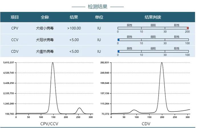pcr能检查出哪几种病缩略图