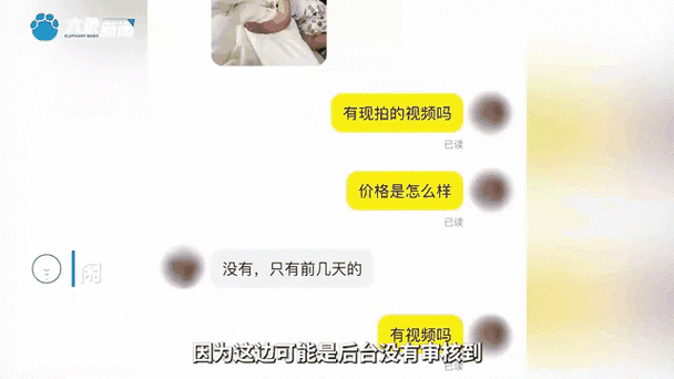闲鱼怎么不上别人看到动态游戏截图