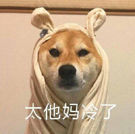 冷的表情包搞笑图片缩略图