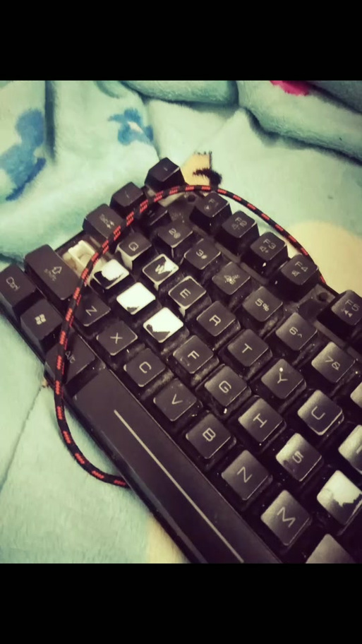 玩游戏一按wasd就打字缩略图