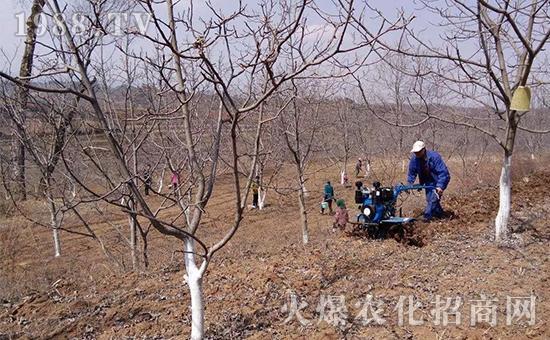 苹果有一款塔防游戏叫什么缩略图