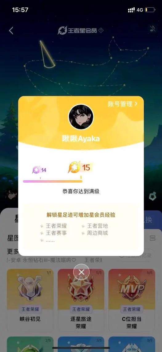 星会员15级要充多少钱游戏截图