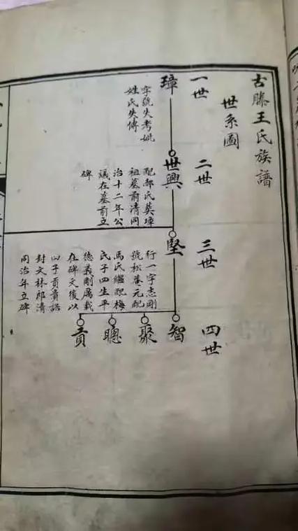 王氏姓氏族谱缩略图