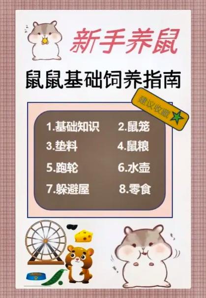 新手养仓鼠的注意事项20条缩略图