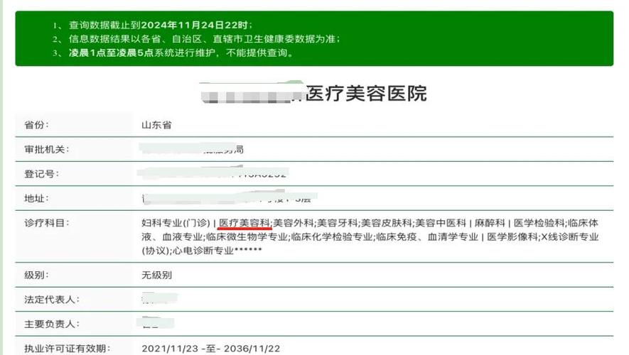 上海市正规的美容医院缩略图