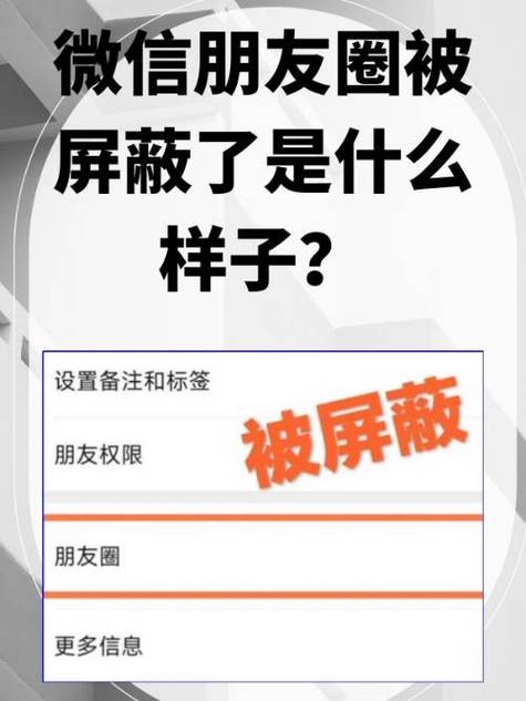 被女友屏蔽朋友圈意味游戏截图