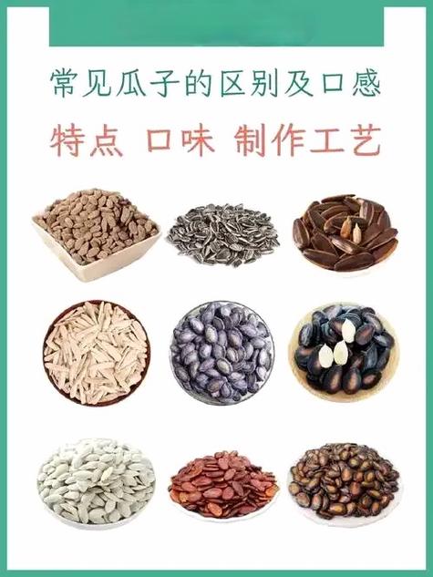 瓜子哪个品种好吃缩略图