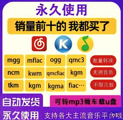qq音乐下载的歌曲加密了游戏截图