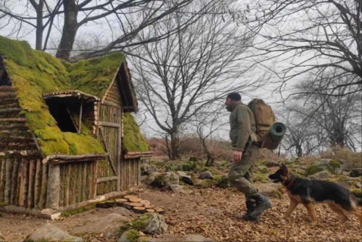 荒野建造庇护所游戏截图