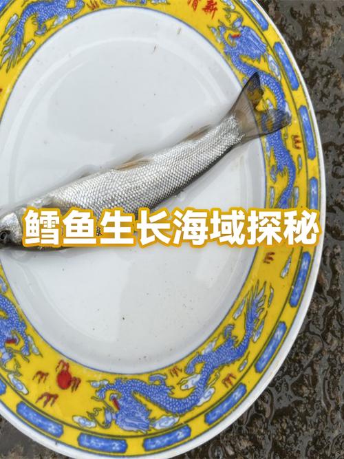神秘海域pc配置要求缩略图