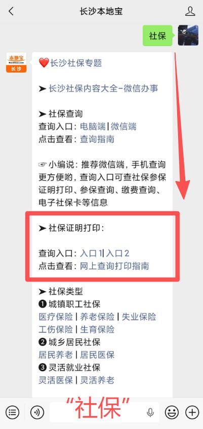湖南省社保查询官网入口游戏截图