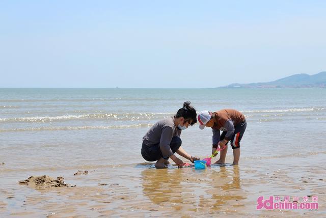 赶海捡贝壳视频游戏截图