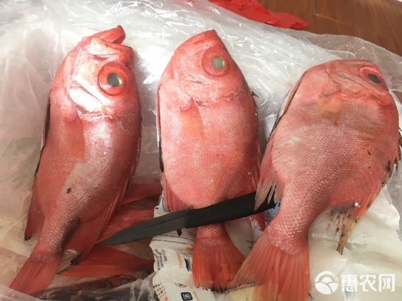 冻海鱼怎么做好吃又简单缩略图