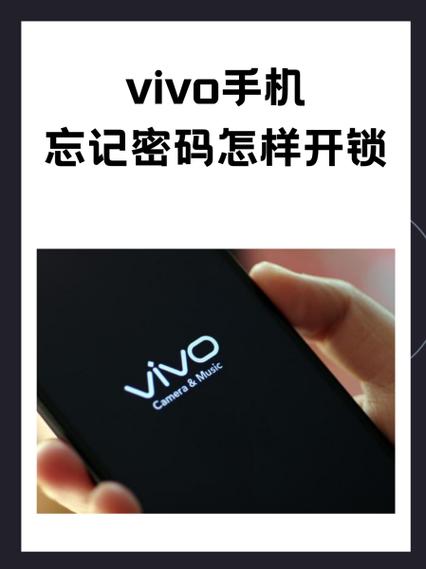 vivo健康密码图标