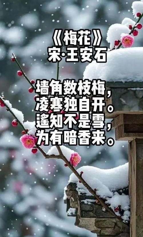 梅花诗原文全文缩略图