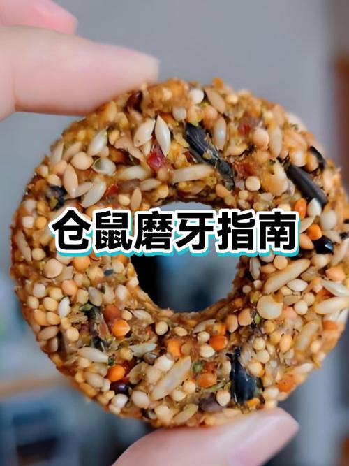 仓鼠不能两只一起养吗游戏截图