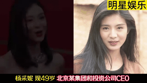 国家不敢惹娱乐圈吗游戏截图