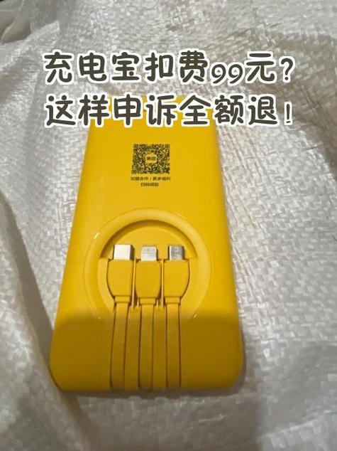 充电宝扣了99怎么办游戏截图