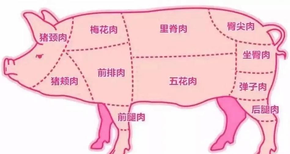 前腿肉和梅花肉一样吗缩略图