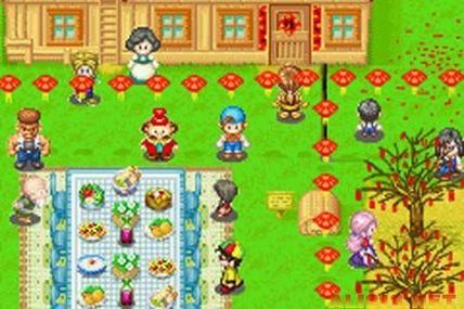牧场物语女孩版结婚缩略图