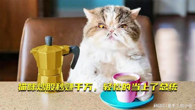 秒看视频能赚钱吗缩略图