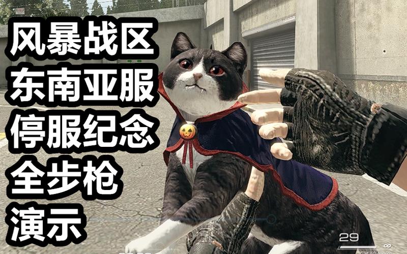 风暴战区停服公告缩略图