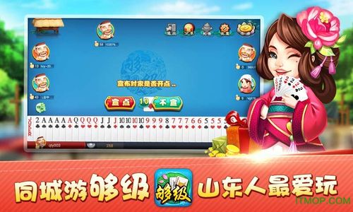 同城够级记牌器下载缩略图