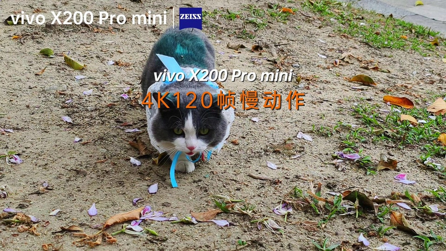 vivo慢动作图标