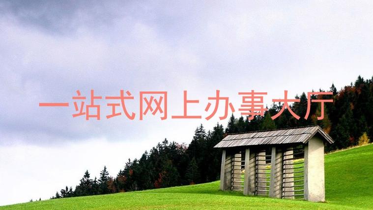 一站式网上服务大厅缩略图