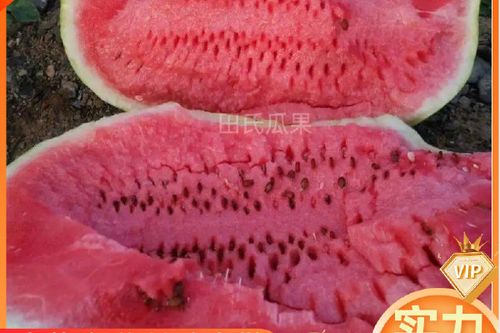 西瓜视频怎么买东西缩略图