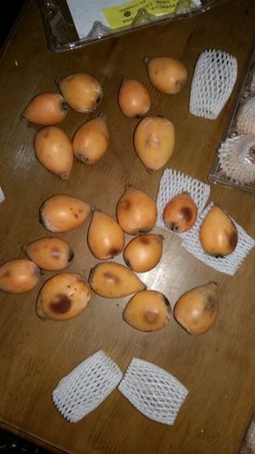 枇杷中间有黏糊糊的东西缩略图