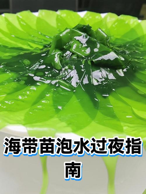 海带泡水喝的功效缩略图