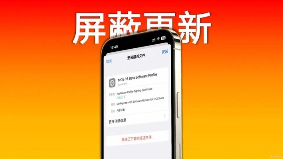 ios安装包怎么安装游戏截图