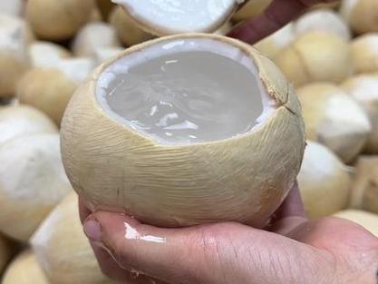 奶椰子怎么开口游戏截图