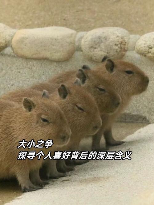 fw和fm哪个大