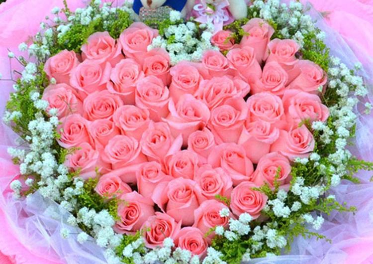 图片花玫瑰缩略图