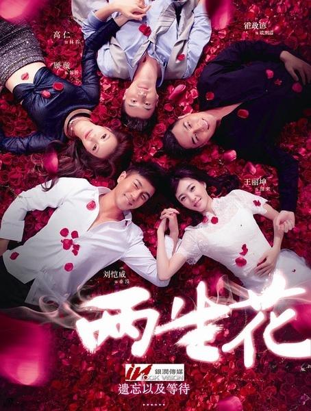 双生花全集免费观看缩略图