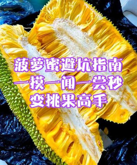 菠萝蜜脆的可以吃吗游戏截图