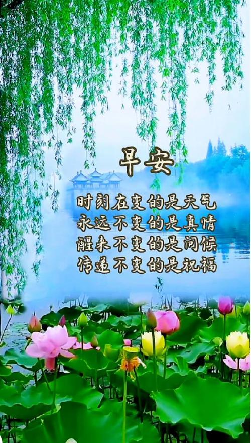 祝福语大全缩略图