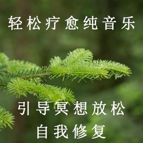 放松冥想音乐30分钟缩略图