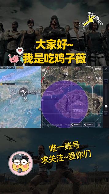 和平精英紫薇解说视频图标