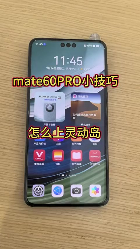 mate60顶部小孔图解缩略图