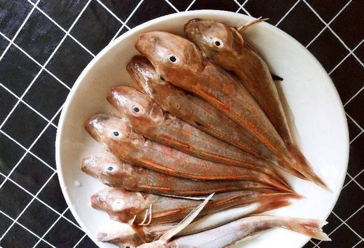 红头鱼有鱼鳞吗缩略图