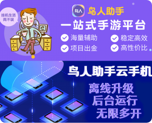 鸟人助手金币卡密缩略图
