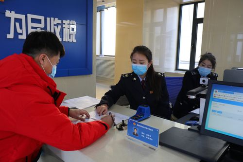 辽宁国税办税通app缩略图