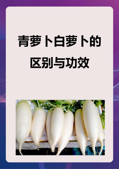 中医认为青萝卜与白萝卜缩略图
